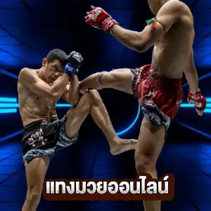 แทงมวยออนไลน์