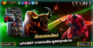 วัวชนออนไลน์